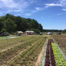 Fête Pomme d'Amap 2018